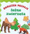 OKRUSZEK POZNAJE LEŚNE ZWIERZĘTA