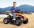 PEG PEREGO QUAD NA AKUMULATOR 12V CORRAL T-REX IGOR0066