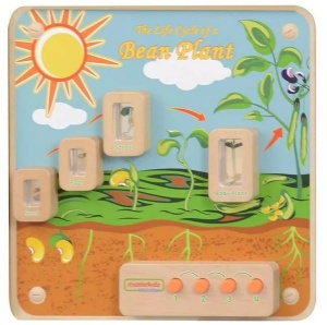 MASTERKIDZ TABLICA EDUKACYJNA CYKL ŻYCIA ROŚLINY ME13217