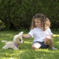 SIMBA INTERAKTYWNY PIESEK CHI CHI BABY BOO 30CM REAGUJE NA 12 POLECEŃ 5893500