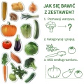 ZESTAW MAGNESÓW DLA DZIECI WARZYWA MV 6032-12