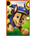 Puzzle - 3x80 - Psia zgraja - Psi Patrol - Trefl 34886