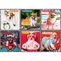 Puzzle - 200 - Wesołe psy - Trefl 13279