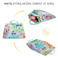 ZABAWKA EDUKACYJNA - AUTKA Z NAPĘDEM + MATA6.jpg