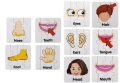 Puzzle Edukacyjne Układanka Części Ciała 10 Połączeń  Angielski