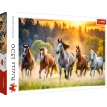 Puzzle - 1500 - Dzikie konie - Trefl 26215