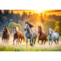 Puzzle - 1500 - Dzikie konie - Trefl 26215