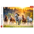 Puzzle - 1500 - Dzikie konie - Trefl 26215